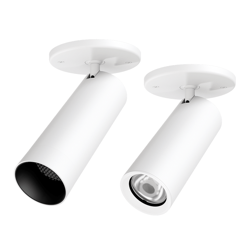 PW -  Perfect White LCV Wireless-ready canopy mount trackhead: SN - matching snoot  (left), standard (right)